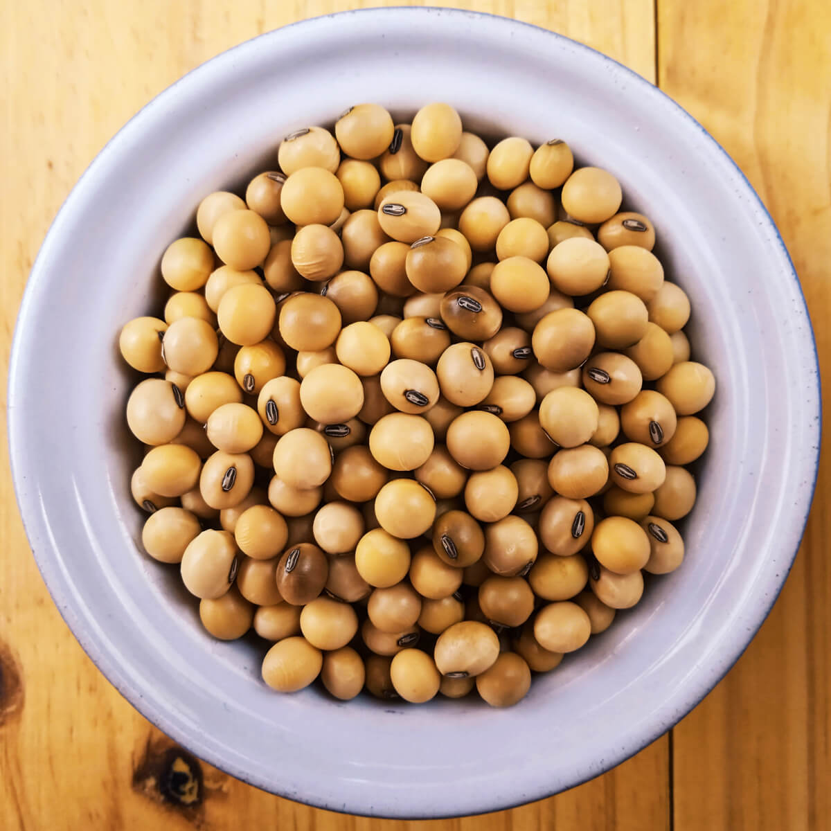 Soybeans (Soyabeans)