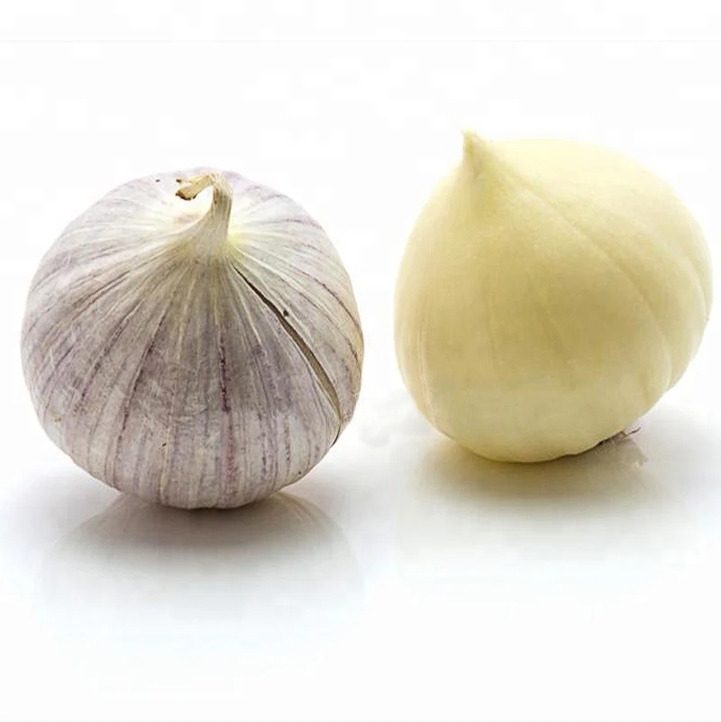 Single clove garlic