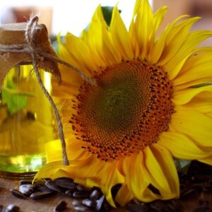 Sunflower oil For Sale