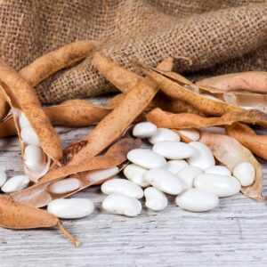 White Kidney Beans