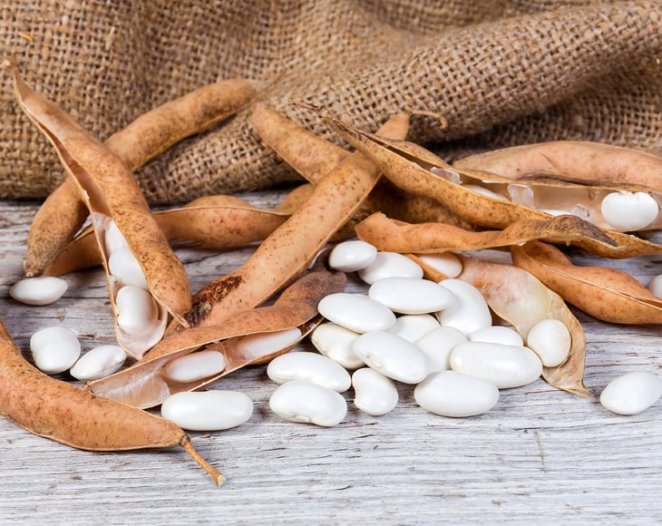 White Kidney Beans