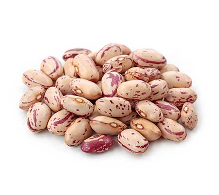 Pinto Beans