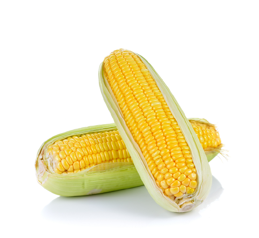 Yellow Maize